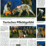 Ruhr Nachrichten 5. Februar 2011